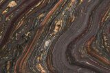 Polished Tiger Iron Stromatolite Slab - Billion Years #222111-1